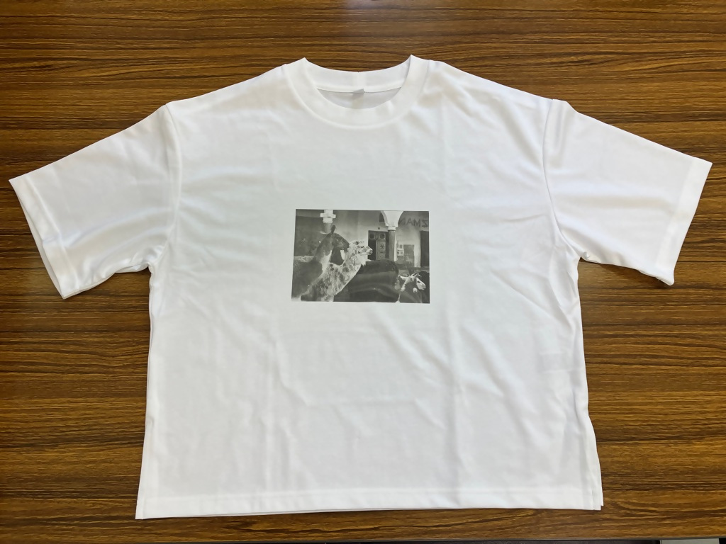【2025年11月25日(火)】「藤田嗣治 絵画と写真」関連ワークショップ「写真でオリジナルTシャツをつくろう!」